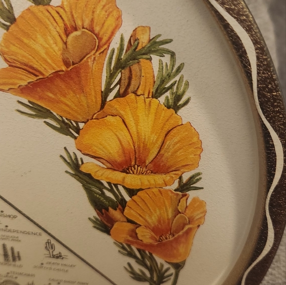 California vintage souvenir tin tray - Picture 4 of 10